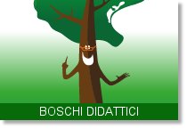 banner boschi didattici